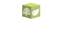 Paradigm Outdoor